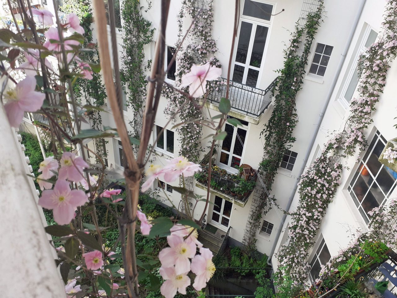 Naturraum Innenhof Hayn-/Hegestraße